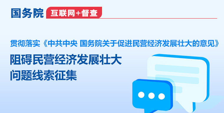 国务院	互联网+督查	 贯彻落实《中共中央 国务院关于促进民营经济发展壮大的意见》